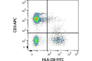 Flow cytometry multicolor surface staining of human lymphocytes using anti-human HLA-DR (MEM-12) FITC antibody (20 μL reagent / 100 μL of peripheral whole blood) and anti-human CD3 (UCHT1) APC antibody (10 μL reagent / 100 μL of peripheral whole blood).