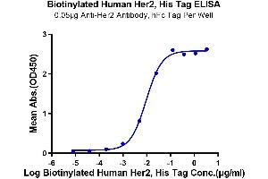 ErbB2/Her2 Protein (His-Avi Tag,Biotin)