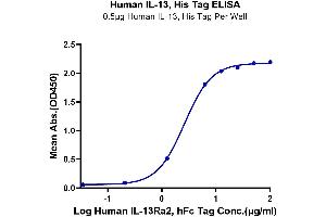 ELISA image for Interleukin 13 (IL13) protein (His-Avi Tag) (ABIN7274900)