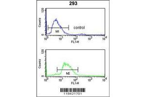 Image no. 1 for anti-Leucine-Rich alpha-2 Glycoprotein 1 (LRG1) (AA 194-223) antibody (ABIN390660)