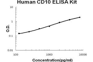 Image no. 1 for Membrane Metallo-Endopeptidase (MME) ELISA Kit (ABIN1889325)
