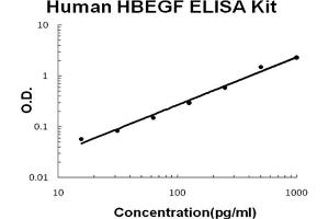 Image no. 1 for Heparin-Binding EGF-Like Growth Factor (HBEGF) ELISA Kit (ABIN6720047)