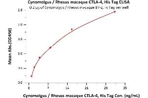 Image no. 1 for Cytotoxic T-Lymphocyte-Associated Protein 4 (CTLA4) (AA 37-160) (Active) protein (His tag) (ABIN2180926)