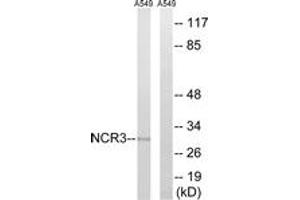 Image no. 1 for anti-Natural Cytotoxicity Triggering Receptor 3 (NCR3) (AA 104-153) antibody (ABIN1535079)