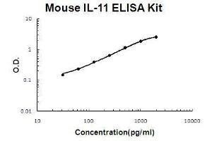 Mouse IL-11 PicoKine ELISA Kit standard curve