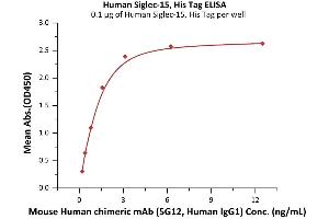 Image no. 3 for Sialic Acid Binding Ig-Like Lectin 15 (SIGLEC15) (AA 20-263) protein (His tag) (ABIN6809919)