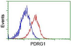 Image no. 2 for anti-P53 and DNA-Damage Regulated 1 (PDRG1) antibody (ABIN2728603)