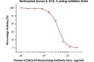 Image no. 3 for Interleukin 23 Receptor (IL23R) (AA 24-355) (Active) protein (Fc Tag,AVI tag,Biotin) (ABIN6810042)