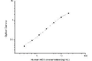Image no. 1 for Heme Oxygenase (Decycling) 1 (HMOX1) ELISA Kit (ABIN6962515)