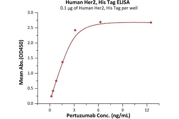 ErbB2/Her2 Protein (AA 23-652) (His tag)