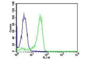 Image no. 4 for anti-Nuclear Factor of kappa Light Polypeptide Gene Enhancer in B-Cells 1 (NFKB1) antibody (ABIN3032043)