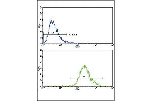 Flow Cytometry (FACS) image for anti-CCR4-NOT Transcription Complex, Subunit 8 (CNOT8) antibody (ABIN2158304)