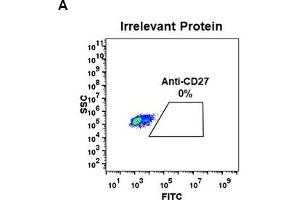 Image no. 2 for anti-CD27 Molecule (CD27) (AA 20-191) antibody (ABIN6964054)