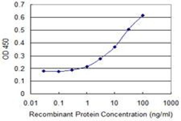 anti-S100 Calcium Binding Protein A2 (S100A2) (AA 1-97) antibody