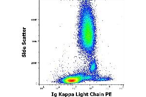 Image no. 1 for anti-kappa Light Chain antibody (PE) (ABIN1027676)