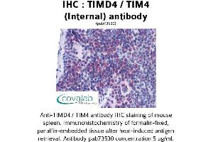 Image no. 1 for anti-T-Cell Immunoglobulin and Mucin Domain Containing 4 (TIMD4) (Internal Region) antibody (ABIN1740078)