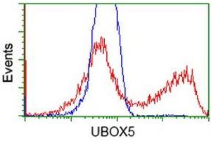 Image no. 2 for anti-U-Box Domain Containing 5 (UBOX5) (AA 1-130), (AA 419-487) antibody (ABIN1490569)