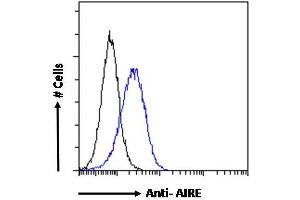 Image no. 8 for anti-Autoimmune Regulator (AIRE) (C-Term) antibody (ABIN184780)