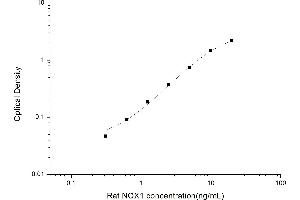 Image no. 1 for NADPH Oxidase 1 (NOX1) ELISA Kit (ABIN6963202)