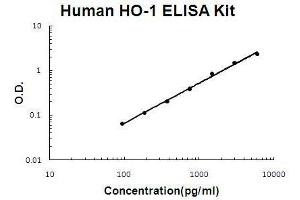 Image no. 1 for Heme Oxygenase (Decycling) 1 (HMOX1) ELISA Kit (ABIN2859305)