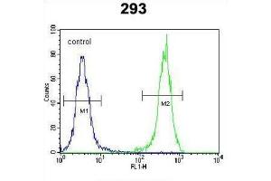 Image no. 2 for anti-OTU Domain Containing 6B (OTUD6B) antibody (ABIN3002448)