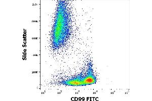 Image no. 1 for anti-CD99 (CD99) antibody (FITC) (ABIN1027669)