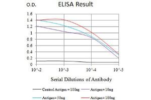 FCGR3B antibody  (AA 17-200)