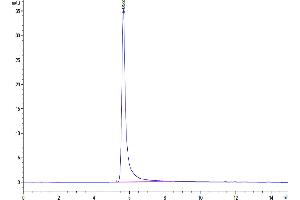 Size-exclusion chromatography-High Pressure Liquid Chromatography (SEC-HPLC) image for G Protein-Coupled Receptor, Family C, Group 5, Member D (GPRC5D) (Active) protein-VLP (ABIN7448167)