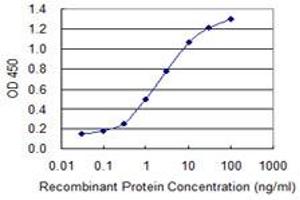 HS6ST1 antibody  (AA 303-401)