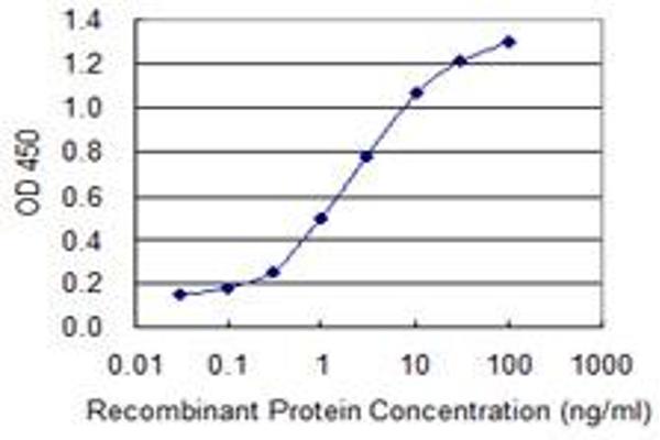 HS6ST1 antibody  (AA 303-401)