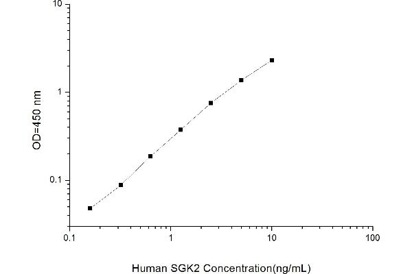 serum/glucocorticoid Regulated Kinase 2 (SGK2) ELISA Kit