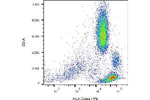 Image no. 1 for anti-MHC Class I Polypeptide-Related Sequence A (MICA) antibody (PE) (ABIN125724)