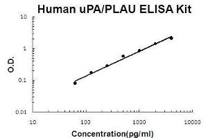 Image no. 1 for Plasminogen Activator, Urokinase (PLAU) ELISA Kit (ABIN411365)