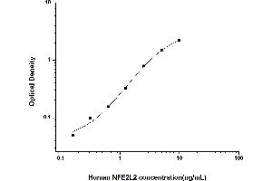 Image no. 1 for Nuclear Factor (erythroid-Derived 2)-Like 2 (NFE2L2) ELISA Kit (ABIN6962325)