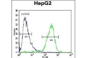 ZC12A Antibody (Center) (ABIN654931 and ABIN2844574) flow cytometric analysis of HepG2 cells (right histogram) compared to a negative control cell (left histogram).