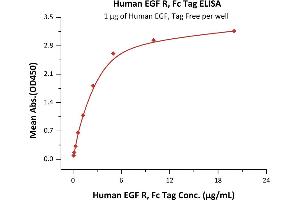 Immobilized Human EGF, Tag Free  at 10 μg/mL (100 μL/well) can bind Human EGF R, Fc Tag (ABIN2181001,ABIN2181000) with a linear range of 0.
