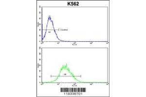 Flow Cytometry (FACS) image for anti-Engrailed Homeobox 2 (EN2) antibody (ABIN2158693)