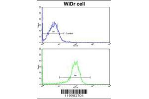 Image no. 3 for anti-ZW10 Interactor (ZWINT) (AA 59-88) antibody (ABIN390639)