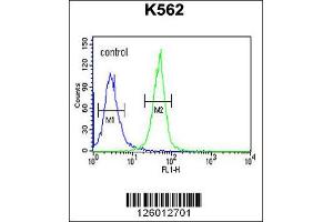 Image no. 3 for anti-Keratin Associated Protein 1-1 (KRTAP1-1) (Center) antibody (ABIN2489051)