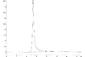 Size-exclusion chromatography-High Pressure Liquid Chromatography (SEC-HPLC) image for G Protein-Coupled Receptor, Family C, Group 5, Member D (GPRC5D) (Active) protein (ABIN7448169)