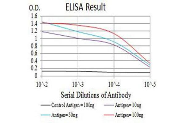 anti-Apoptotic Peptidase Activating Factor 1 (APAF1) (AA 1138-1237) antibody