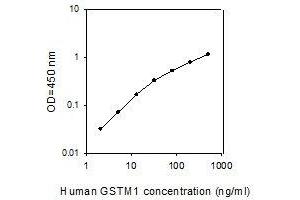 Image no. 1 for Glutathione S-Transferase mu 1 (GSTM1) ELISA Kit (ABIN4883146)
