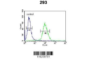 Image no. 3 for anti-Dipeptidyl-Peptidase 8 (DPP8) (AA 846-876), (C-Term) antibody (ABIN390400)