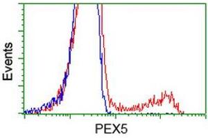 Image no. 3 for anti-Peroxisomal Biogenesis Factor 5 (PEX5) antibody (ABIN1500156)