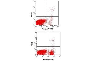 Flow Cytometry (FACS) image for Annexin V-FITC/7-AAD Apoptosis Kit (ABIN5596087)