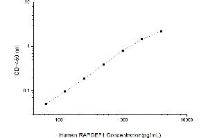 Image no. 1 for Rap Guanine Nucleotide Exchange Factor (GEF) 1 (RAPGEF1) ELISA Kit (ABIN1116891)