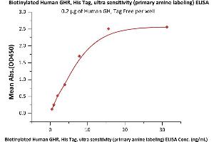 Immobilized Human GH, Tag Free at 2 μg/mL (100 μL/well) can bind Biotinylated Human GHR, His Tag, ultra sensitivity (primary amine labeling) (ABIN2181160,ABIN2693591) with a linear range of 0.