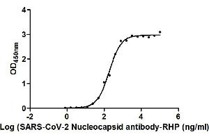 Image no. 1 for anti-SARS-CoV-2 Nucleocapsid (SARS-CoV-2 N) (AA 1-419) antibody (HRP) (ABIN6953157)