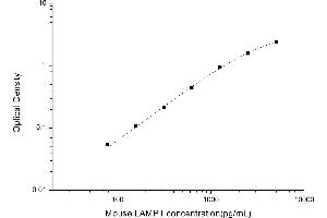 Image no. 1 for Lysosomal-Associated Membrane Protein 1 (LAMP1) ELISA Kit (ABIN6963024)