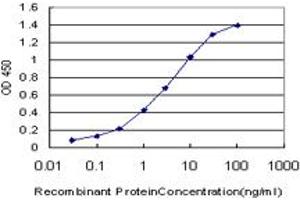 NME1 antibody  (AA 43-152)